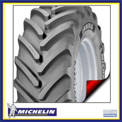Pneu MICHELIN Omnibib 620/70 R 42 160D