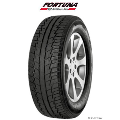 Pneu FORTUNA Winter SUV 265/50 R 19 110 XL