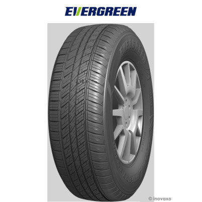 Pneu EVERGREEN ES380 255/65 R 17 110H