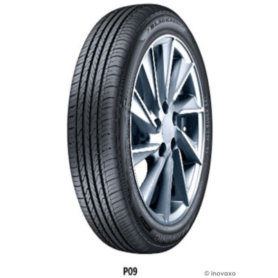 Pneu BLACKARROW Dart P09 215/75 R 15 100T