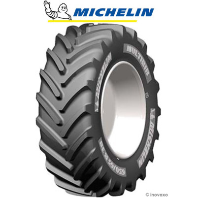 Pneu MICHELIN Multibib 650/65 R 42 165D