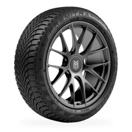 Pneu MAXTREK Premitra Snow WP6 255/40 R 19 100 XL