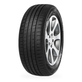 Pneu MINERVA 209 175/60 R 14 79