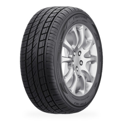 Pneu FORTUNE FSR303 255/50 R 20 109Y XL