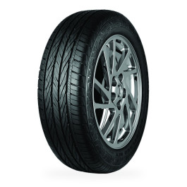 Pneu TRACMAX X-Privilo H/T RF10 225/60 R 17 99H