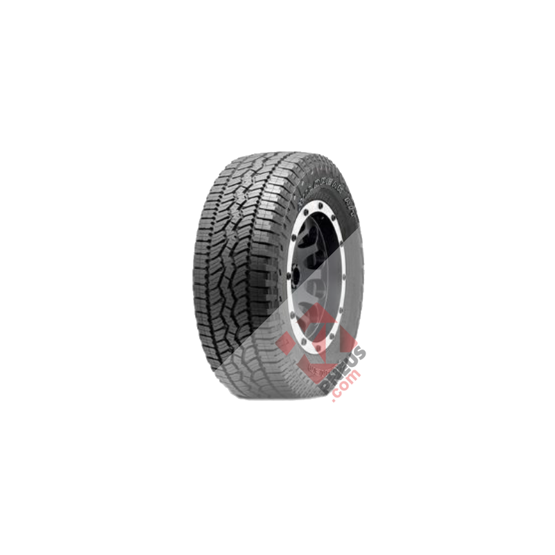 4250427421759.png