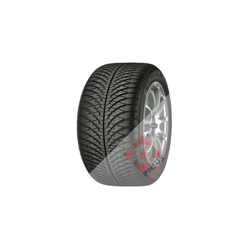 4968814958855.png