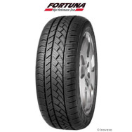 Pneu FORTUNA Ecoplus 4S 205/45 R 16 87 XL
