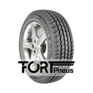 Pneu COOPER WM-ST2 215/55 R 16 97T XL