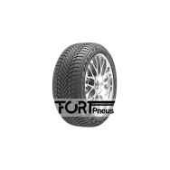 Pneu MAXTREK Premitra Snow WP6 255/40 R 18 99 XL