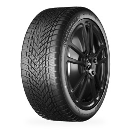 Pneu DUNLOP Winter 195/65 R 15 91T 3PMSF