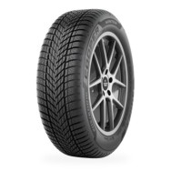 Pneu COOPER Discoverer Winter 175/65 R 17 87H 3PMSF