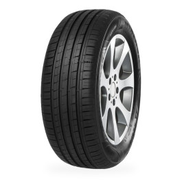 Pneu MINERVA F209 205/55 R 16 94 XL