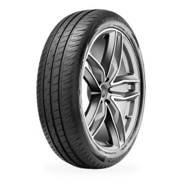Pneu RADAR Dimax ECO 195/55 R 20 95H XL