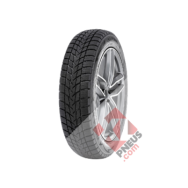 Pneu RADAR Dimax Alpine 205/55 R 16 91H 3PMSF